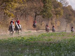 IMG_9776web